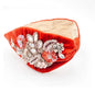 Ina Headband
